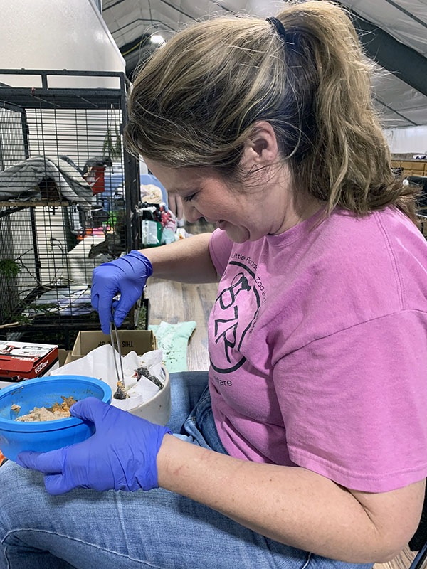 Mary Lou Redmond, manager of Little Ponderosa Zoo and Rescue, feeds young bluebirds
