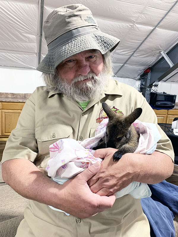 James Cox, Little Ponderosa Zoo and Rescue owner and founder, holds a six-month-old wallaby